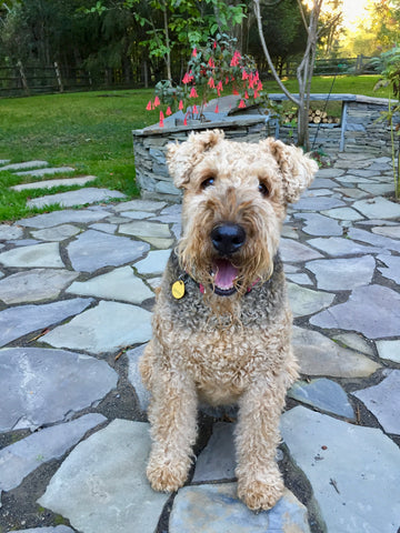 LiL’ER [2007-2019] you were my heart & soul ♥️ always & forever.