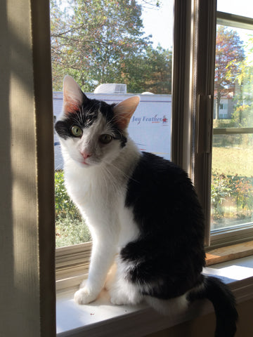 Logan Hendricksen, will be loved forever