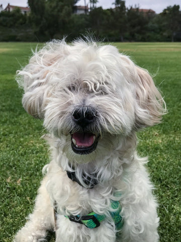 Jake, We miss you terribly and we will hold you close in our hearts forever.