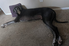 Grendel