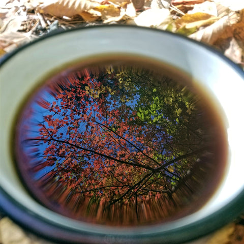 Winner, Creative Composition-Emily Weber