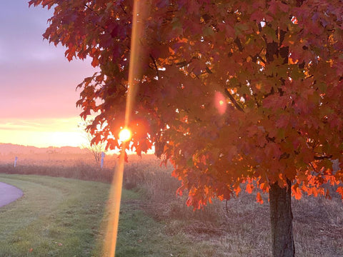Honorable Mention, Autumn-Kristi Moore