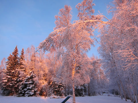 Honorable Mention, Winter-Christine Emond