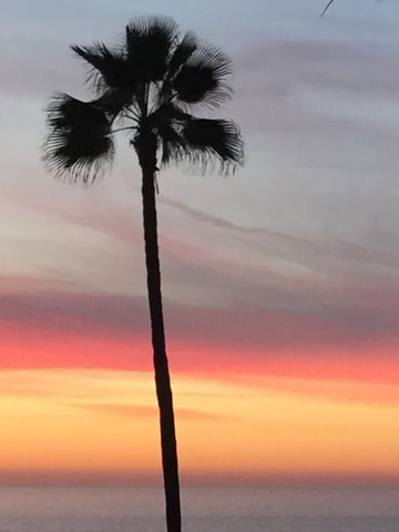 Honorable Mention, Beach/Desert-Joe Otoupalik